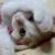 新井光博