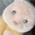 みにぷっちん