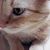 いさな