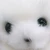アサ