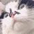 ほたて
