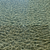 Ry_lax2746