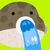 fugucha