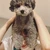 ゆきの