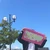 ふうか