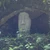 苔と花