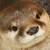 ひなもん