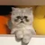 yurie