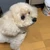 ちー
