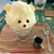 やまだうどん