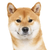 Norio