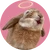yanechan