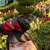 もりみ