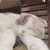 まかろん