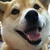 キムラタカフミ