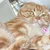 はまちゃんぐむ