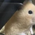 ひろみん
