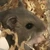 たぐち
