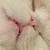 まるこ
