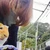あやな