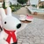 Shiori