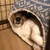 はしおき