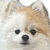 yurie