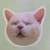 romioboy