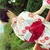 川田成美