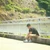 てつ
