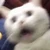 Ryo仟