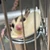 もりお