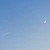 さとう
