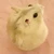 うーたん
