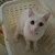 Tomio