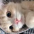 みおん