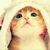 tomo
