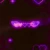 doper_0212