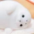 うぃうQ