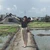 Yuririn