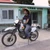 matase