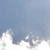 ayn