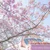 わこ