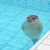3349