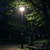 深夜公園