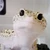 ハシビロコウ好きな奈良くん