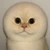 おいあのさー...あのね