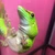 ひよこ