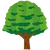 モチモチの木