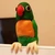のびぴ